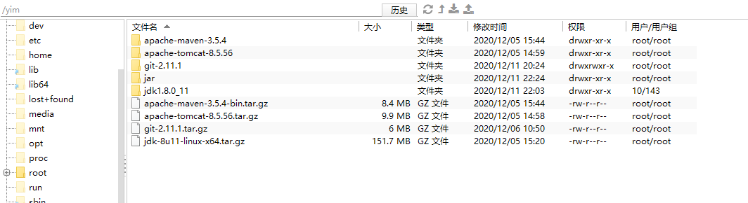 安装文件目录